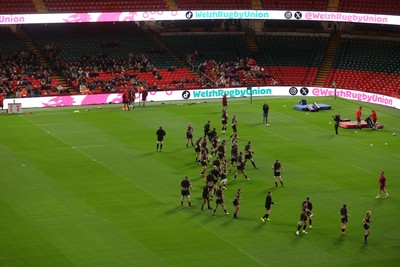 291025 - Wales Rugby Open Training - Fans watch on during training