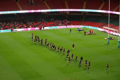 291025 - Wales Rugby Open Training - Fans watch on during training