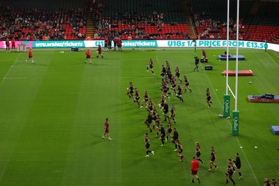 291025 - Wales Rugby Open Training - Fans watch on during training