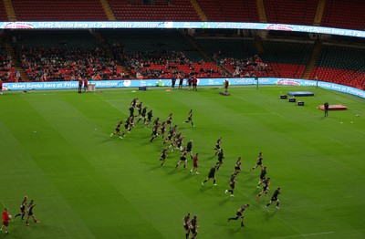 291025 - Wales Rugby Open Training - Fans watch on during training
