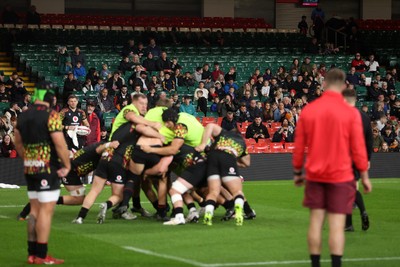 291025 - Wales Rugby Open Training - Fans watch training
