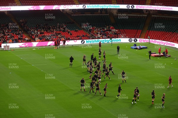 291025 - Wales Rugby Open Training - Fans watch on during training