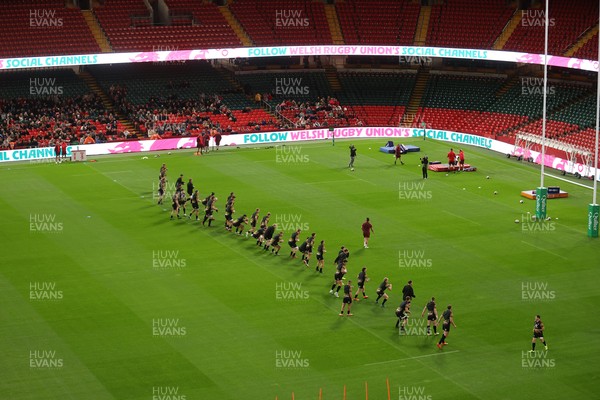 291025 - Wales Rugby Open Training - Fans watch on during training
