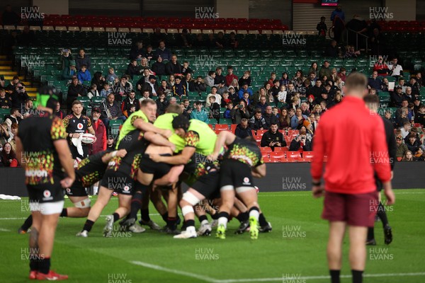 291025 - Wales Rugby Open Training - Fans watch training