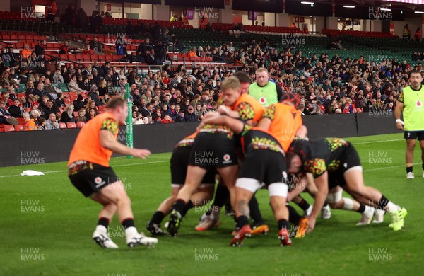 291025 - Wales Rugby Open Training - Fans watch training
