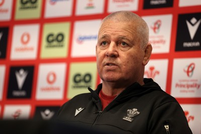 Wales Rugby Press Conference 040724