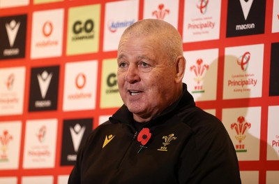 Wales Rugby Press Conference 081124