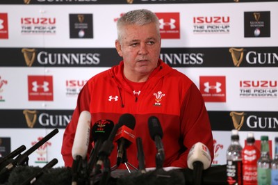 Wales Rugby Press Conference 140319