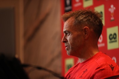 140726 - Danny Wilson, Assistant Coach speaks to the media during a press conference in the week ahead of their game against South Africa