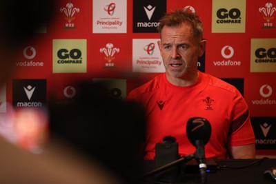 140726 - Danny Wilson, Assistant Coach speaks to the media during a press conference in the week ahead of their game against South Africa