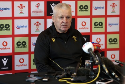 Wales Rugby Press Conference 201124