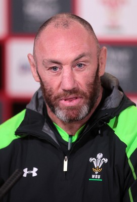 Wales Rugby Press Conference 211114