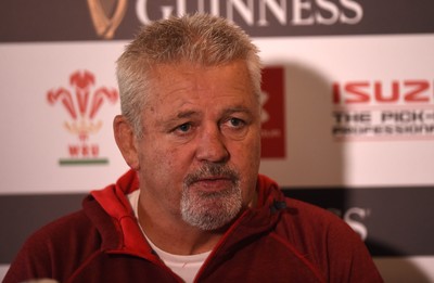 Wales Rugby Squad Announcement 150119