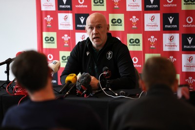 201026 - Picture shows Wales Head Coach Steve Tandy speaking to the media as he announces his squad for this autumns Nations Championship fixtures