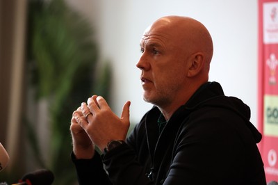 201026 - Picture shows Wales Head Coach Steve Tandy speaking to the media as he announces his squad for this autumns Nations Championship fixtures