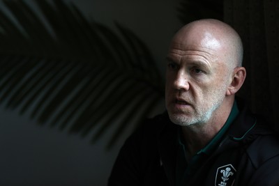201026 - Picture shows Wales Head Coach Steve Tandy speaking to the media as he announces his squad for this autumns Nations Championship fixtures