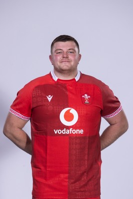 271025 - Wales Rugby Squad Portraits - Danny Southworth
