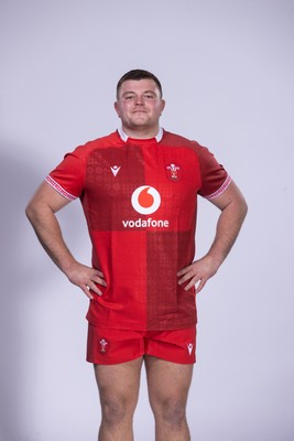 271025 - Wales Rugby Squad Portraits - Danny Southworth