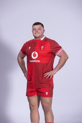 271025 - Wales Rugby Squad Portraits - Danny Southworth
