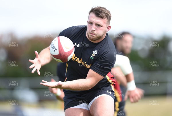 010617 - Wales Rugby Training - Dillon Lewis during training