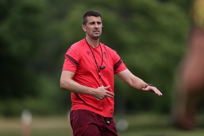 010726 - Wales Rugby Training ahead of the first Nations Championship game against Fiji - Peter Murchie, Defence Coach during training