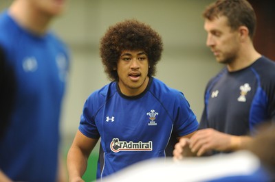 01.11.10 - Wales Rugby Training - Toby Faletau in action during training. 