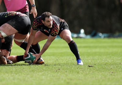 020326 - Wales Rugby Training - Tomos Williams during training