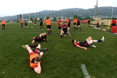 Wales Rugby Training 020613