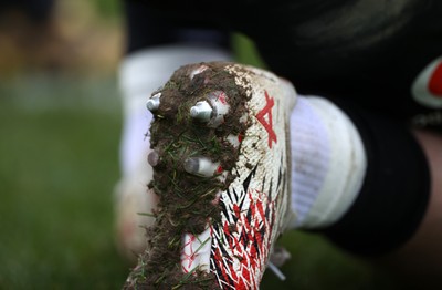030226 - Wales Rugby Training - Dewi Lake during training