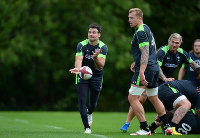 040815 - Wales Rugby Training -Mike Phillips during training