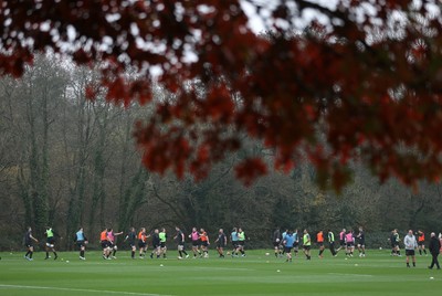 Wales Rugby Training 051124