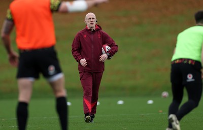 051125 - Wales Rugby Training in the week leading up to their first Quilter Autumn Nations Series against Argentina - Steve Tandy, Head Coach during training