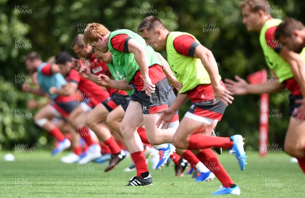 060819 - Wales Rugby Training - Rhys Patchell during training