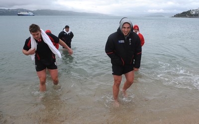 06.10.11 - Wales Rugby Training - Dan Lydiate and George North during a recovery session in the sea off Wellington waterfront. 