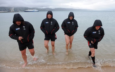 06.10.11 - Wales Rugby Training - Adam Jones, Alun Wyn Jones, Ryan Jones and Shane Williams during a recovery session in the sea off Wellington waterfront. 