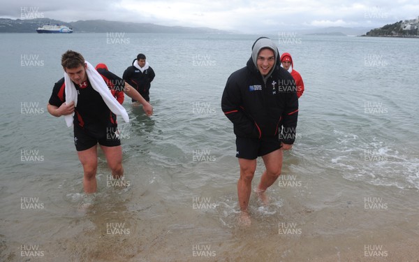 06.10.11 - Wales Rugby Training - Dan Lydiate and George North during a recovery session in the sea off Wellington waterfront. 