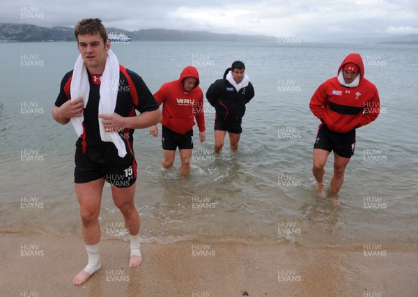 06.10.11 - Wales Rugby Training - Dan Lydiate during a recovery session in the sea off Wellington waterfront. 