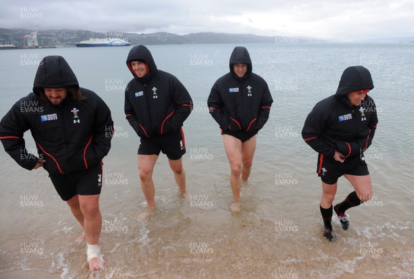 06.10.11 - Wales Rugby Training - Adam Jones, Alun Wyn Jones, Ryan Jones and Shane Williams during a recovery session in the sea off Wellington waterfront. 