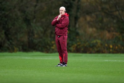 061125 - Wales Rugby Training in the week leading up to their first Quilter Nations Series game against Argentina - Steve Tandy, Head Coach during training