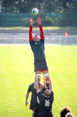 08.09.07 Wales World Cup training... Jonathan Thomas takes lineout ball. 