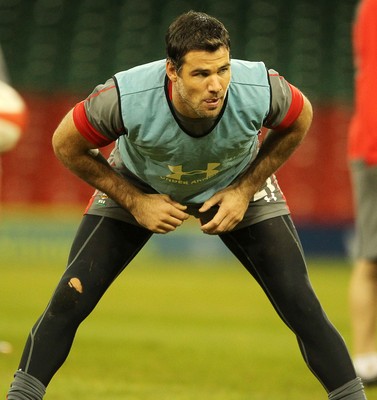 Wales Rugby Training 081113