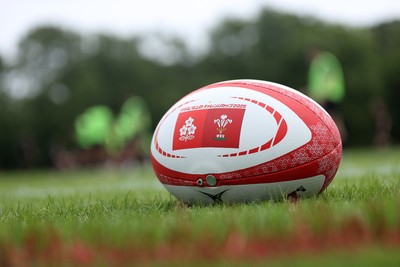 090625 - Wales Rugby Training - Japan tour ball