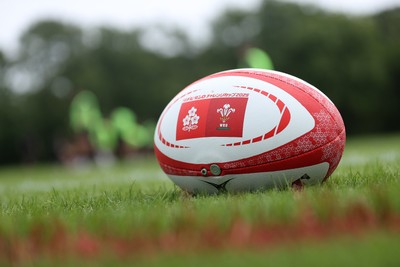 090625 - Wales Rugby Training - Japan tour ball