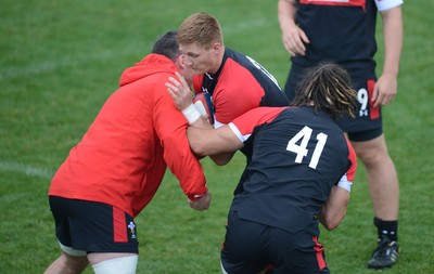 Wales Rugby Training 110613