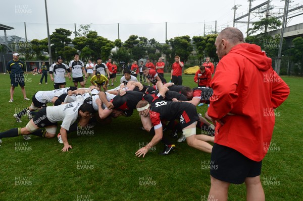 110613 - Wales Rugby Training -Robin McBryde during training