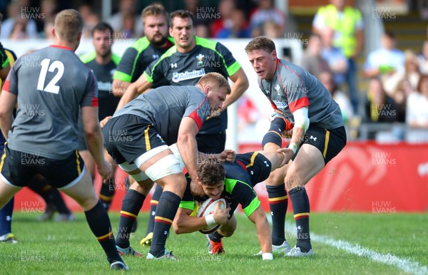 110815 - Wales Rugby Open Training Session -Lloyd Williams is tackled by Ross Moriarty and Rhys Priestland during an open training session