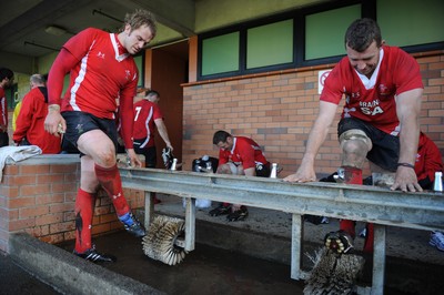 13.06.10 - Wales Rugby Training - Alun Wyn Jones and Deiniol Jones clean their boots after training. 