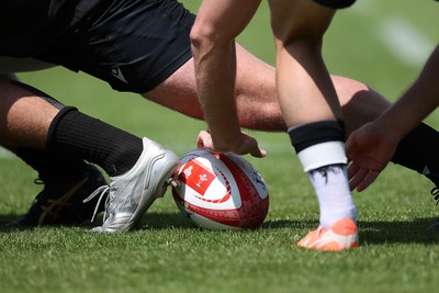 130625 - Wales Rugby Training - Ball