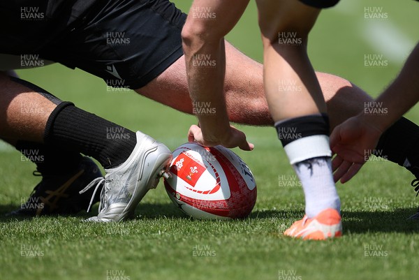 130625 - Wales Rugby Training - Ball