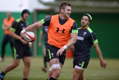 131114 - Wales Rugby Training -Dan Lydiate during training